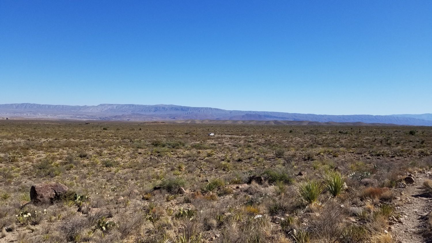 Lone Mountain Hike 